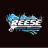 reesepowerwashing