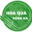 hoaquadungha