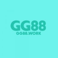 Gg88vnnet3