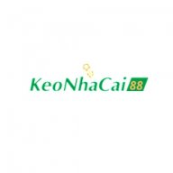 Keonhacai88cam