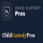 childcustodypros2